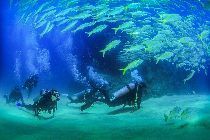 Learn to Scuba Dive in Cabo San Lucas with PADI - What the Itinerary Looks Like