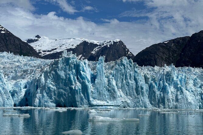 LeConte Glacier Tour and Norwegian Town Exploration - The Sum Up: Who Is This Tour Best For?