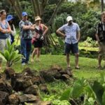 Legends of Hawaii: Oahus Untold Stories - Why You’ll Love the Experience