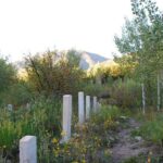 Leisure Hike - East Aspen Hunter Creek - The Guide’s Role and Why It Matters