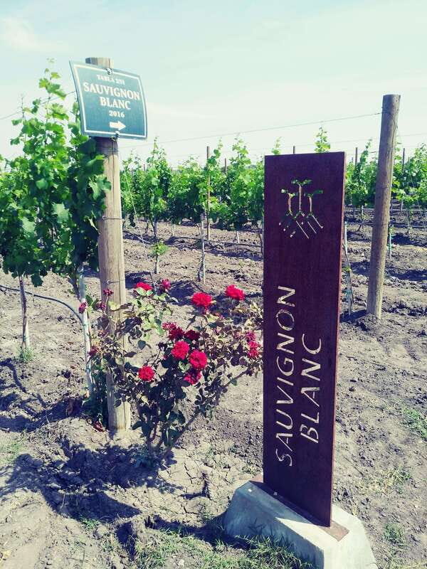 Leon: Dolores Hidalgo Viñedo Tres Raíces Wine Tour - The Value of the Tour