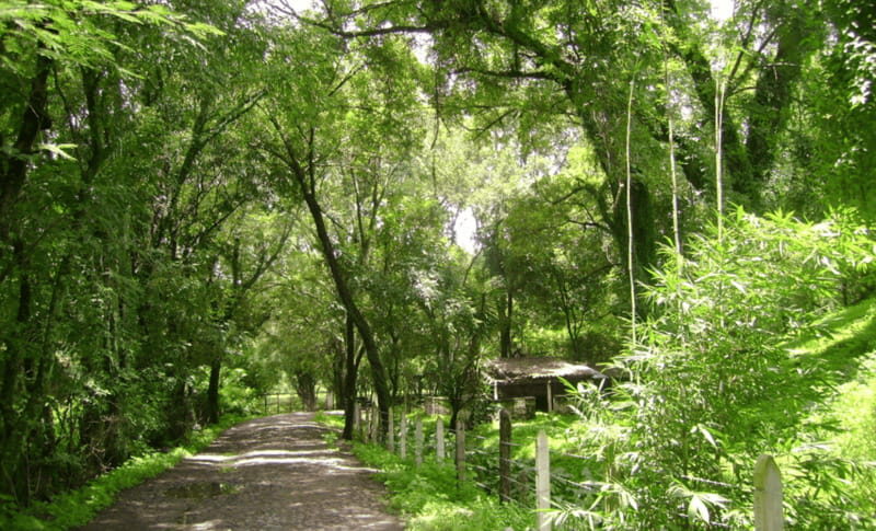 Leon: Jalpa in Its Natural State Tour with Lunch - An In-Depth Look at the Jalpa in Its Natural State Tour
