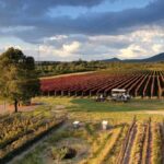Leon: Tierra de Luz Vineyard Tour with Wine Tasting - Pricing & Value