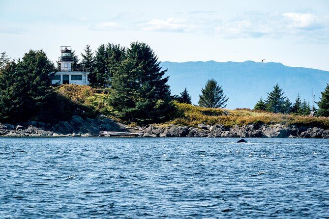 Lighthouse, Totems and Eagles Excursion (Ward Cove) - What Travelers Are Saying