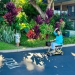 Lightweight Easy Island Mobility Scooter Rental - Who Will Love This Experience?
