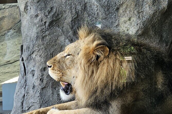 Lincoln Park Nature Museum and Zoo Public Walking Tour - What Makes This Tour Stand Out?