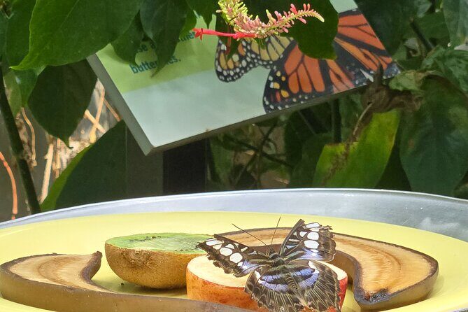 Lincoln Park Nature Museum & Zoo Private Walking Tour - Who Should Consider This Tour?