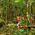 Live the adventure in 3 cenotes in the jungle! - What Makes This Tour Stand Out?