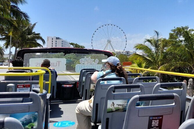 Live the Cancun City Experience! Round Transportation from Cancun - Who Should Consider This Tour?