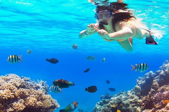 Live this unique snorkeling experience. El Cielo in Cozumel a magical tour. - Practical Details to Consider