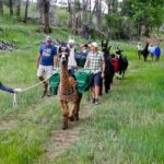 Llama Hike and Farm Tour - Why This Tour Offers Good Value