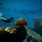Lna'i Coast Snorkel & Sail from Lahaina - Who Will Love This Tour?