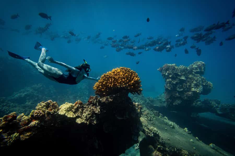 Lna'i Coast Snorkel & Sail from Lahaina - Who Will Love This Tour?