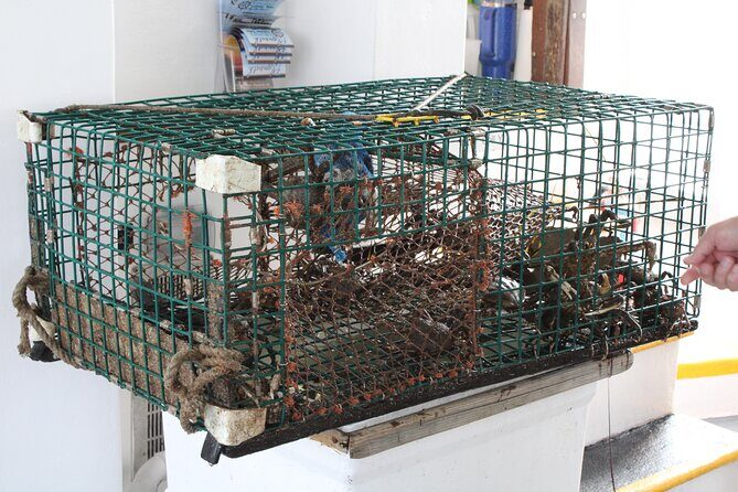 Lobstering Eco Tour - The Itinerary in Detail