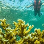 Local Fishing Plus Snorkeling Tour in Isla Mujeres - Analyzing the Experience from the Reviews