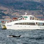 Long Beach: Whale and Dolphin Watching Cruise - Value for Money