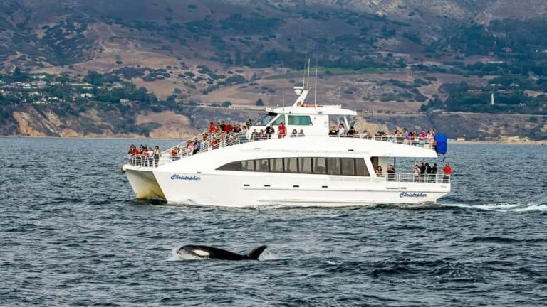 Long Beach: Whale and Dolphin Watching Cruise - Value for Money