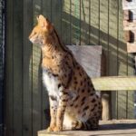 Long Island Farm & Wildplay Jones Beach Tour | Kids 50% Off - The Practical Side: Transportation, Duration, and Group Size