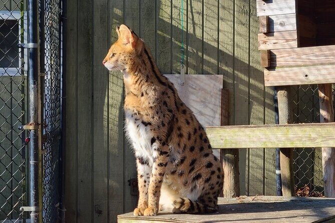 Long Island Farm & Wildplay Jones Beach Tour | Kids 50% Off - The Practical Side: Transportation, Duration, and Group Size
