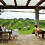 Long Island Winery Tour - The Experience from Reviews