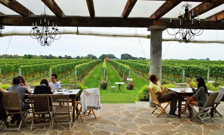 Long Island Winery Tour - The Experience from Reviews