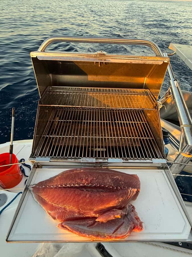 Loreto, Baja California, Mexico - Catamaran Sailing Cruise - Who Should Consider This Tour?