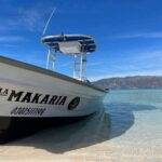 Loreto: Speedboat Tour with Swimming, Snorkeling and Picnic - What Makes This Tour Stand Out?