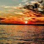 Los Angeles #1: Luxury Boat Cruise-Wine, Cheese & Sea Lions - Why the Focus on Wildlife and Scenery?