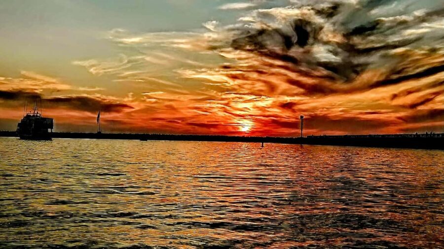 Los Angeles #1: Luxury Boat Cruise-Wine, Cheese & Sea Lions - Why the Focus on Wildlife and Scenery?