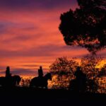 Los Angeles: Evening 2-Hour Hollywood Horseback Riding Tour - A Closer Look at the Tour Experience