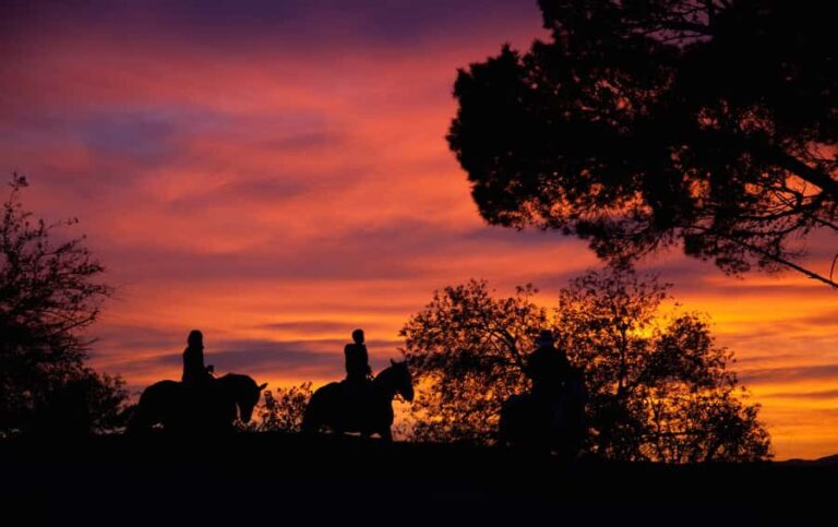Los Angeles: Evening 2-Hour Hollywood Horseback Riding Tour - A Closer Look at the Tour Experience