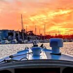 Los Angeles Luxury Boat Cruise Wine, Charcuterie Sealions - The Itinerary in Detail