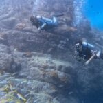 Los Cabos 1 tank dive to Lands End (Certified Divers) - Who Will Love This Tour?