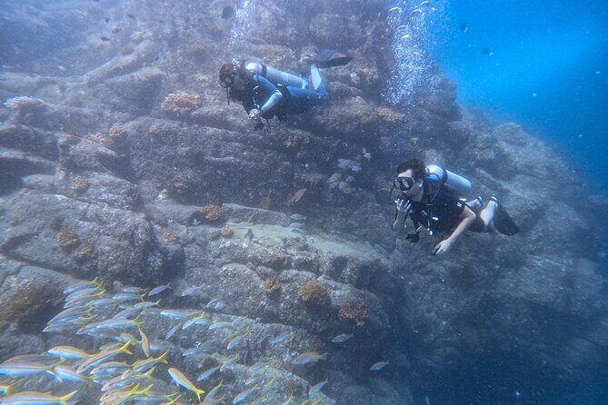 Los Cabos 1 tank dive to Lands End (Certified Divers) - Who Will Love This Tour?