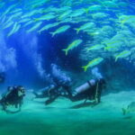 Los Cabos: 3-Hour Introductory Scuba Diving Adventure - What to Expect: Step-by-Step Underwater Adventure