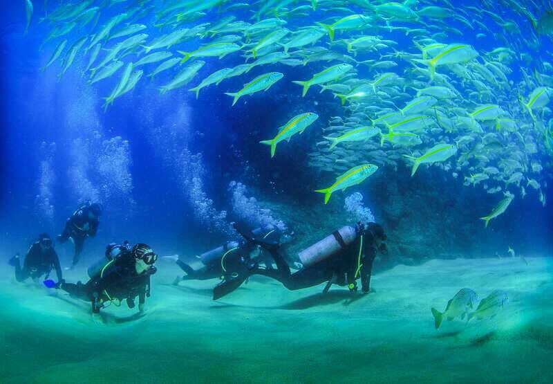 Los Cabos: 3-Hour Introductory Scuba Diving Adventure - What to Expect: Step-by-Step Underwater Adventure