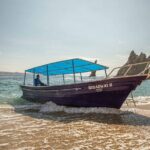 Los Cabos: Arch´s Tour With Free time at Lovers Beach - Who Is This Tour For?