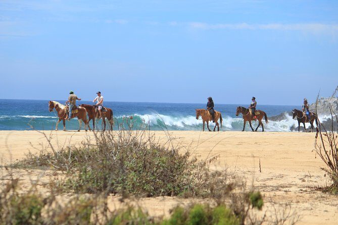 Los Cabos ATV and Pacific Horseback Riding Combo Tour - Authentic Experiences and Guide Insights