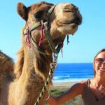 Los Cabos: ATV, Camel, and Sky Bike Tour with Tequila - Detailed Breakdown of the Itinerary