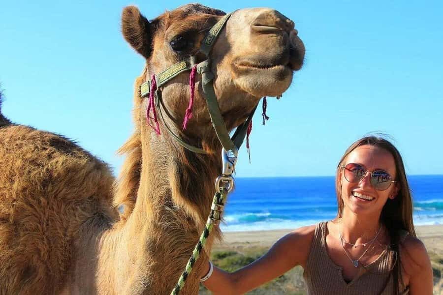 Los Cabos: ATV, Camel, and Sky Bike Tour with Tequila - Detailed Breakdown of the Itinerary
