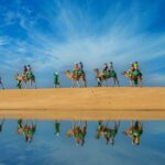 Los Cabos Camel Ride Adventure On The Beach - What’s Included and What’s Not