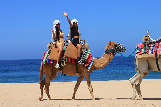 Los Cabos Camel Ride and Tequila Tasting Experience - What Travelers Can Expect