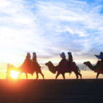 Los Cabos: Camel Ride Safari with Lunch and Tequila Tasting - Practical Details and What You Need to Know