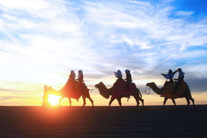 Los Cabos: Camel Ride Safari with Lunch and Tequila Tasting - Practical Details and What You Need to Know