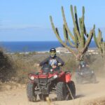 Los Cabos - COMBO Horseback Riding & ATV Tour - Why This Tour Offers Great Value