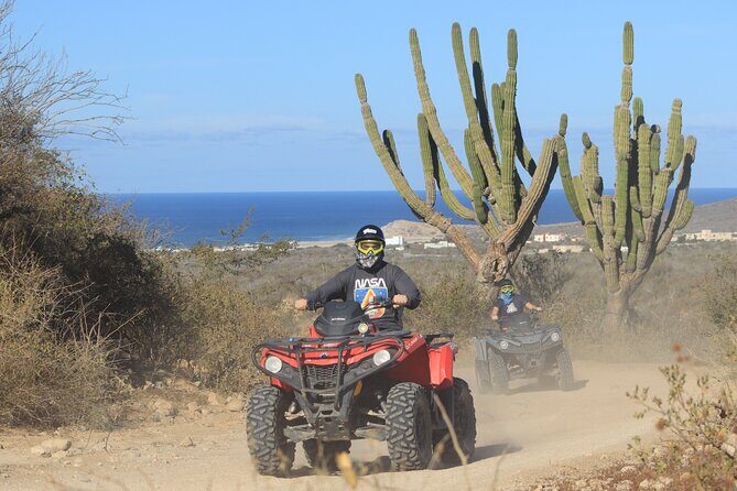 Los Cabos - COMBO Horseback Riding & ATV Tour - Why This Tour Offers Great Value