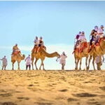 Los Cabos: Desert & Sea Camel Safari Tour with Lunch - An In-Depth Look at the Tour Experience