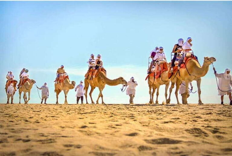 Los Cabos: Desert & Sea Camel Safari Tour with Lunch - An In-Depth Look at the Tour Experience