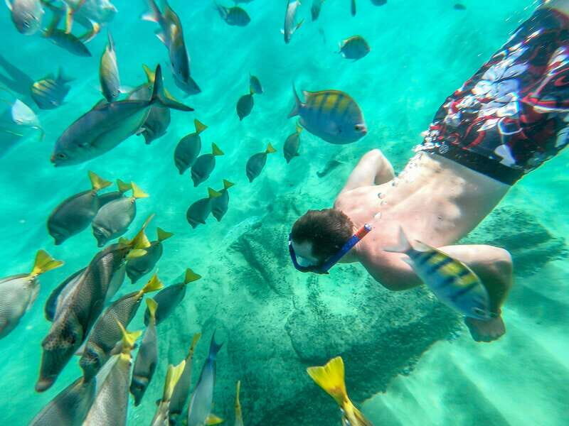 Los Cabos: El Arco, Chileno Beach, and Tequila Tasting Tour - What Makes This Tour Stand Out