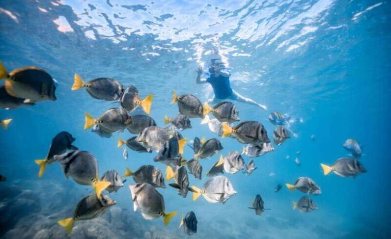 Los Cabos: Glass Bottom Kayak and Snorkel Tour at the Arch - Authentic Experiences and Real Feedback